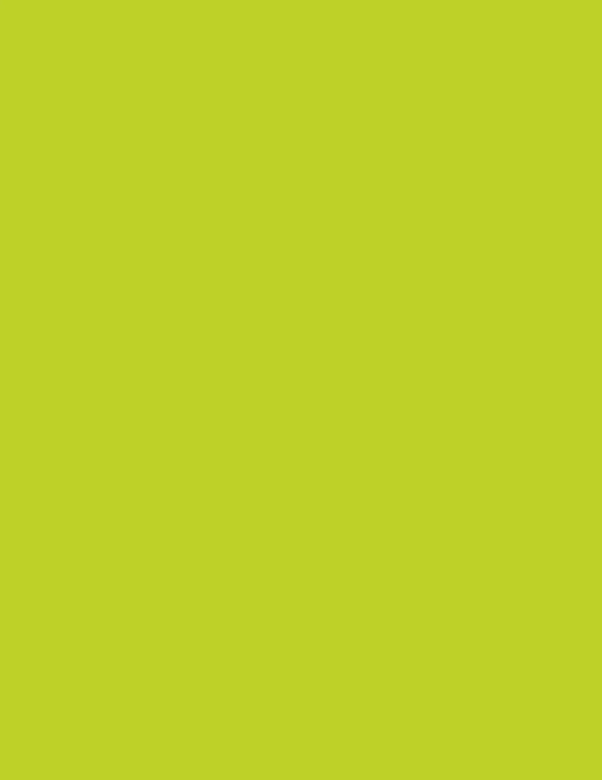 LAM NEON GREEN XM 4X8 1/32