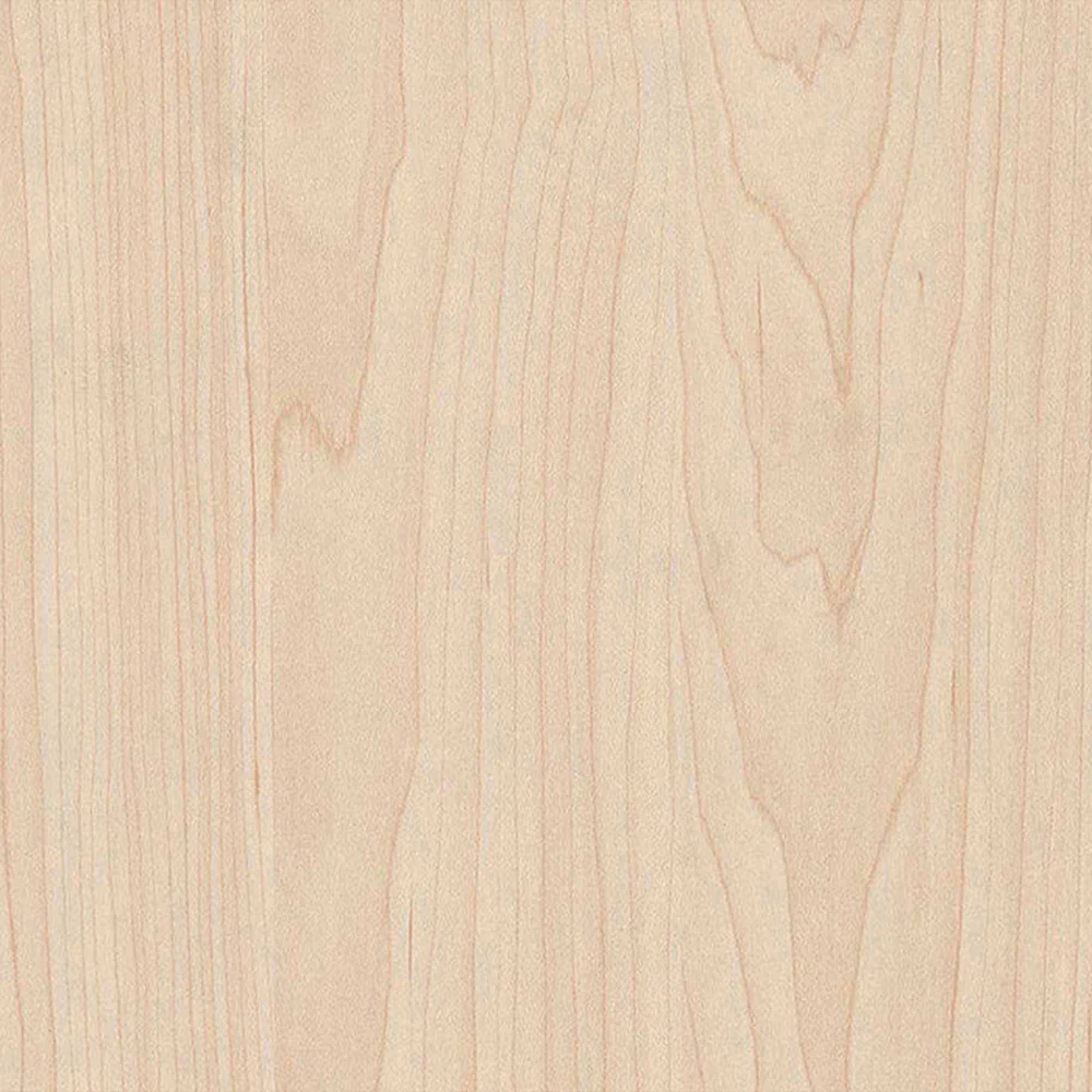 Maple Plywood 4 ft x 8 ft (Imported Plywood) - Image 3