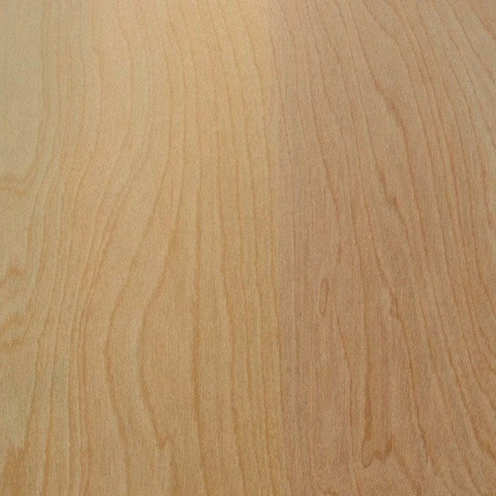 Plywood Sandeply 4 ft x 8 ft - Image 7