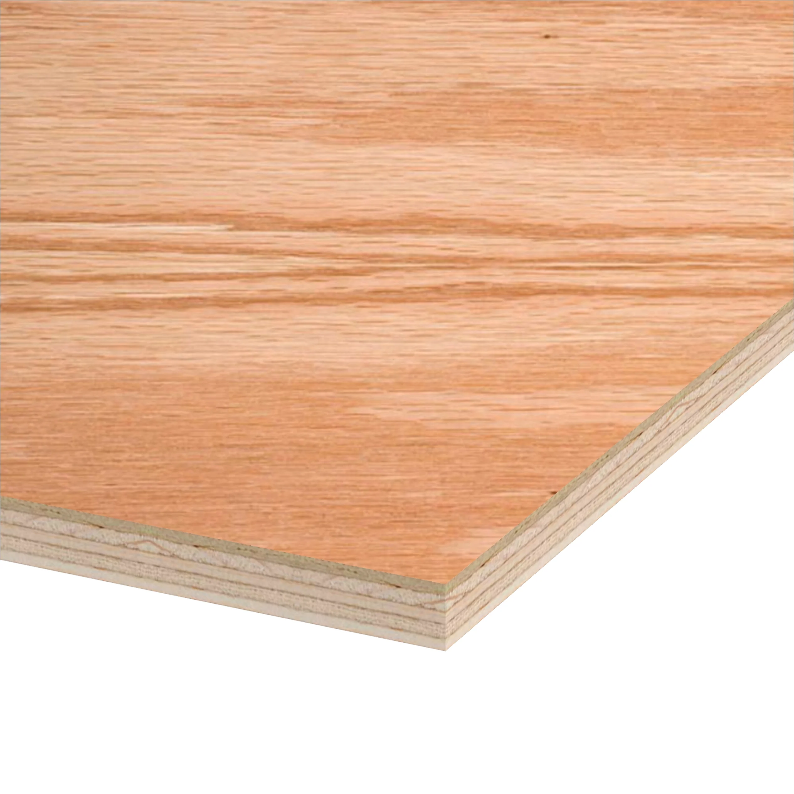 Red Oak Plywood 4 ft x 8 ft (Domestic Plywood) - Image 6
