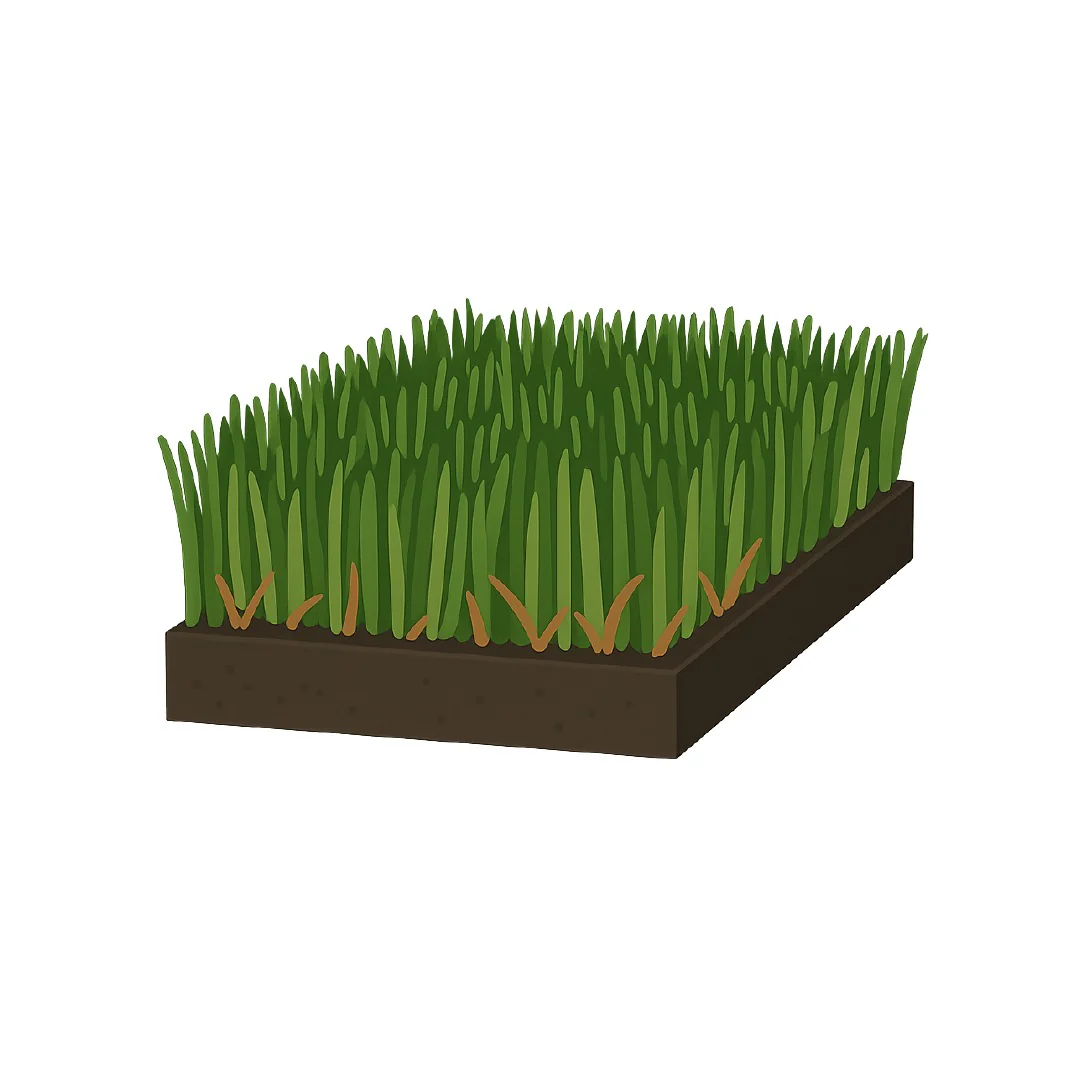 Top Group Classic artificial grass - Image 5